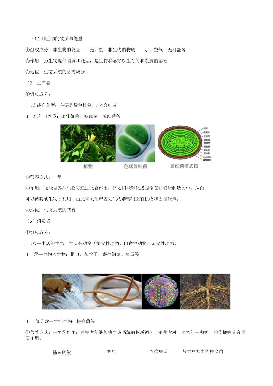 3.1生态系统的结构（学生版）.docx_第3页