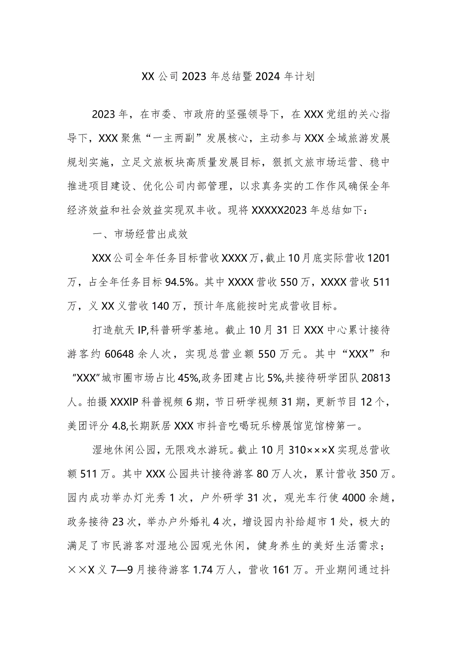 XX公司2023年总结暨2024年计划.docx_第1页