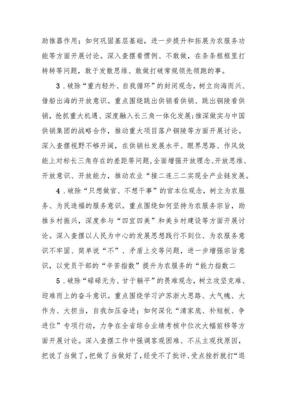 XX市供销关于开展“思想大解放、环境大优化、能力大提升、作风大转变、任务大落实”讨论活动实施方案.docx_第2页