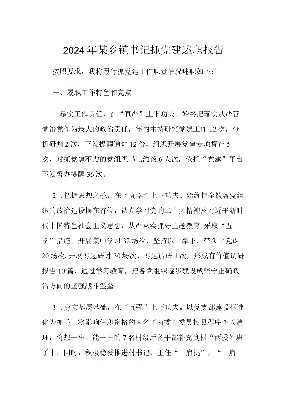 2024年某乡镇书记抓党建述职报告.docx_第1页