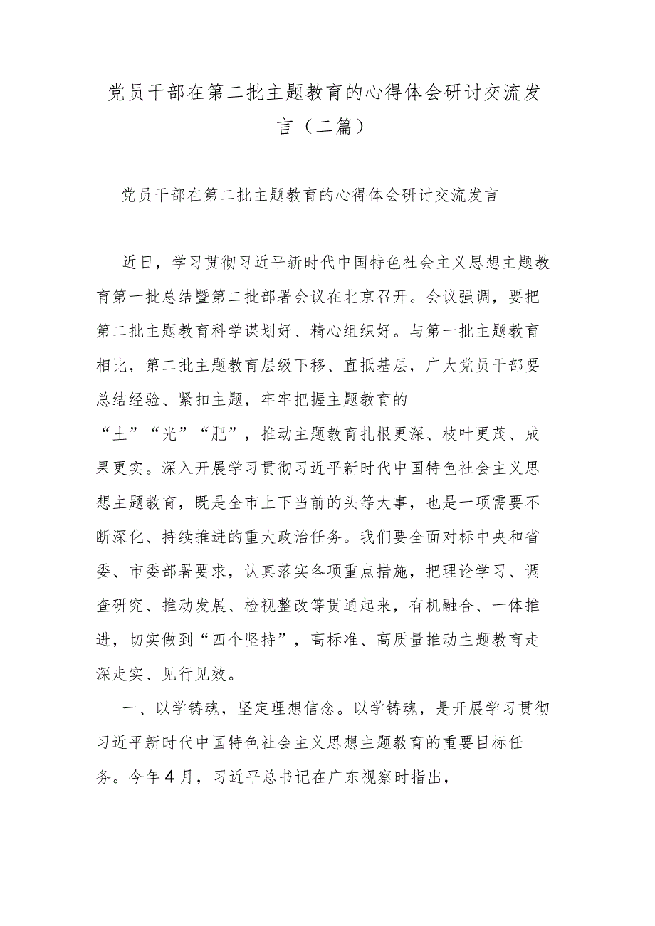 党员干部在第二批主题教育的心得体会研讨交流发言(二篇).docx_第1页