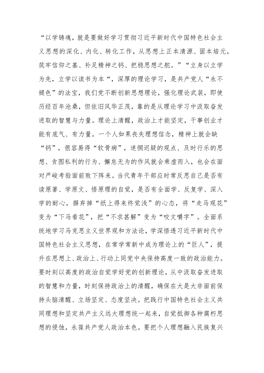 党员干部在第二批主题教育的心得体会研讨交流发言(二篇).docx_第2页