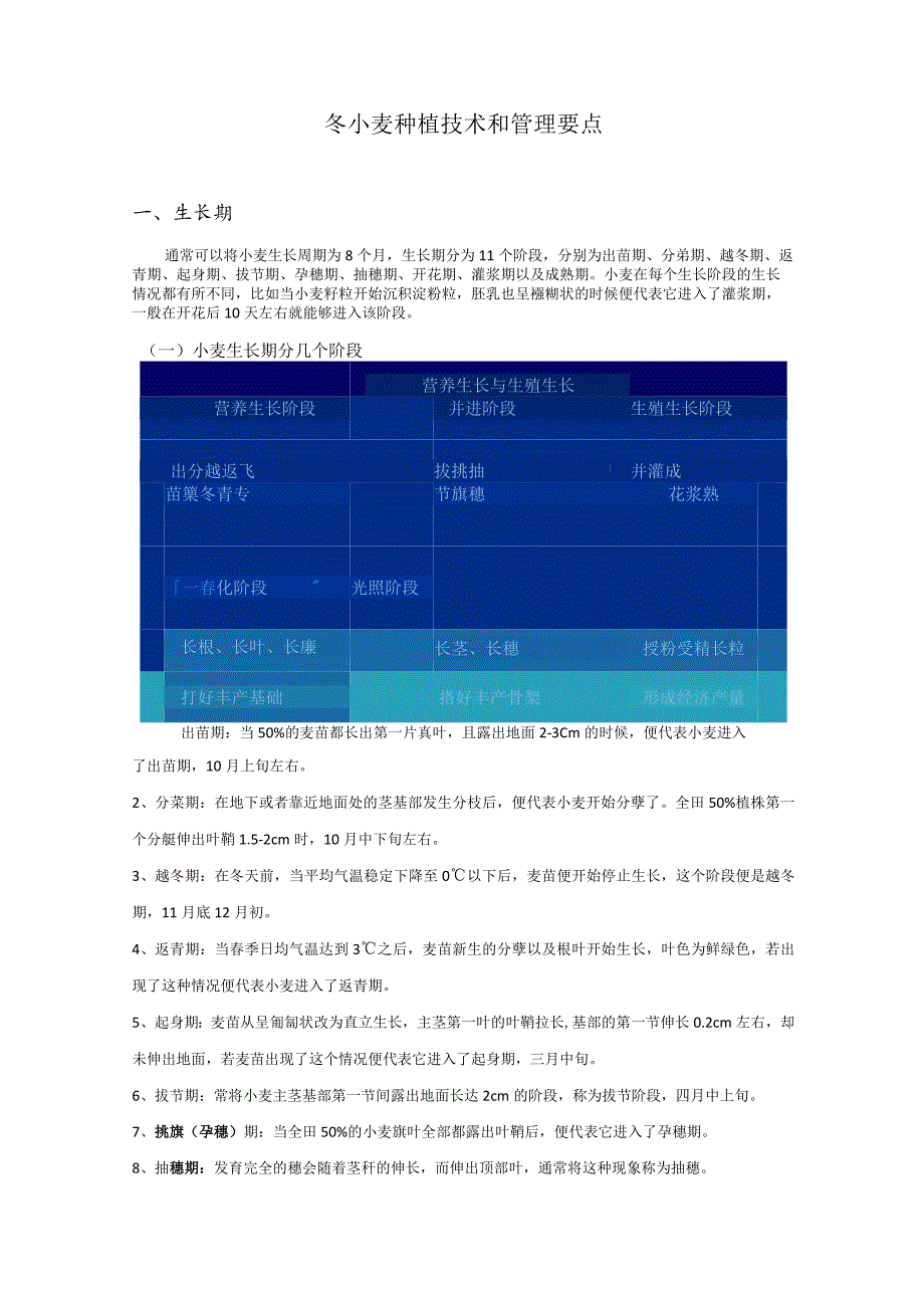 小麦种植和管理技术要点.docx_第1页