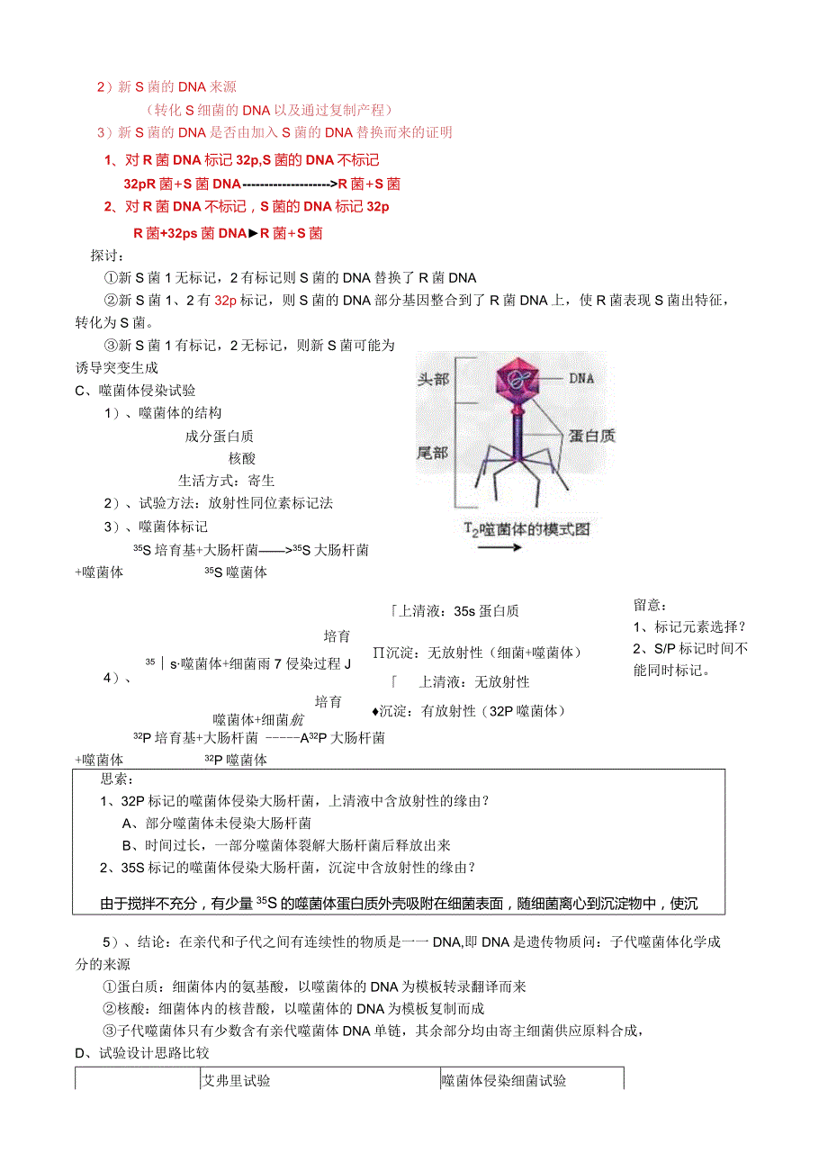 一轮复习三章遗传和变异遗传的物质基础.docx_第2页