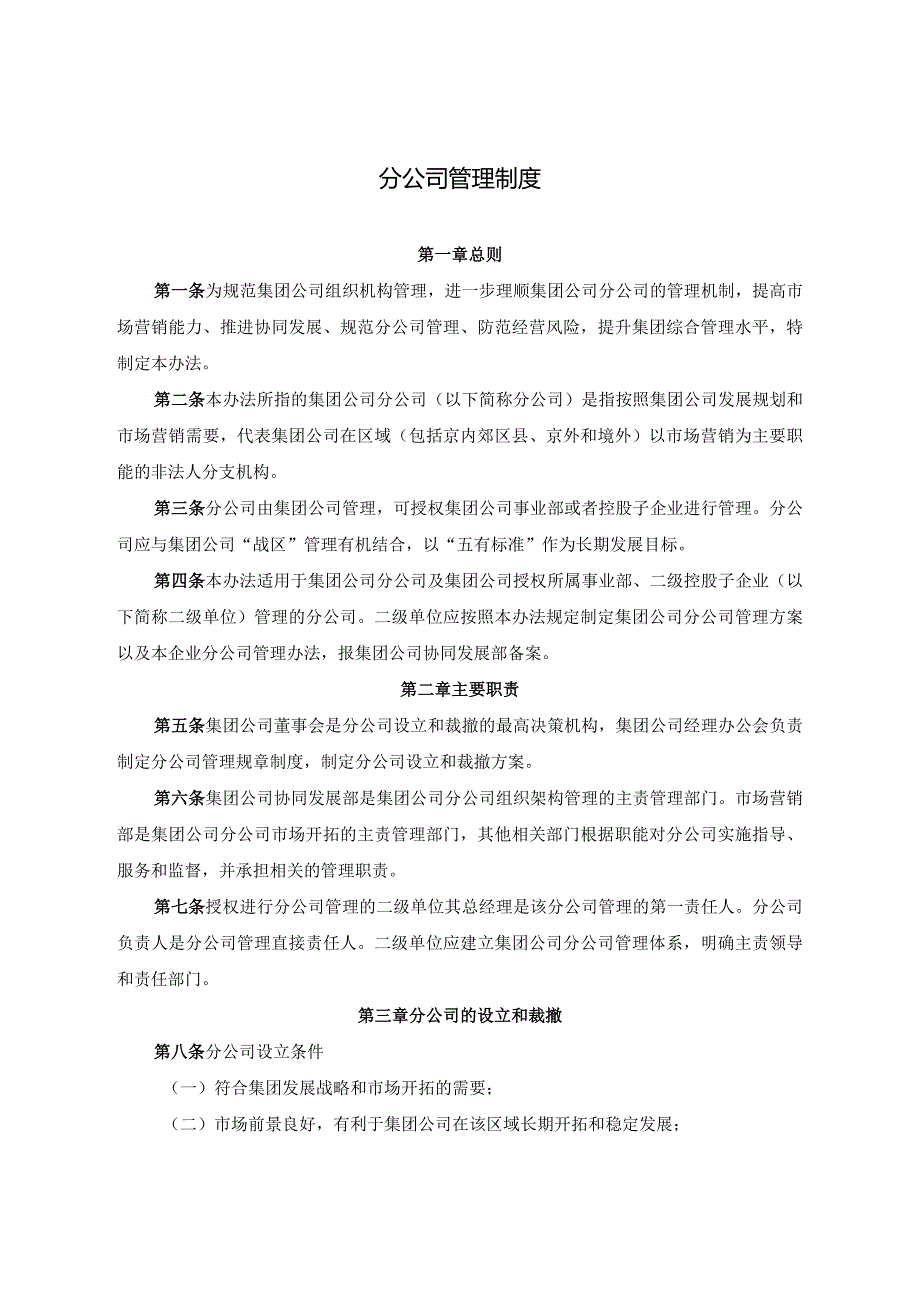 分公司管理制度.docx_第1页