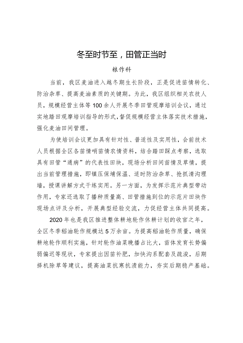 冬至时节至田管正当时.docx_第1页