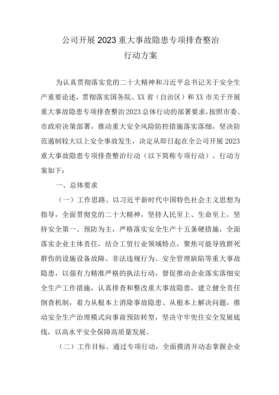 公司开展2023重大事故隐患专项排查整治行动方案.docx_第1页