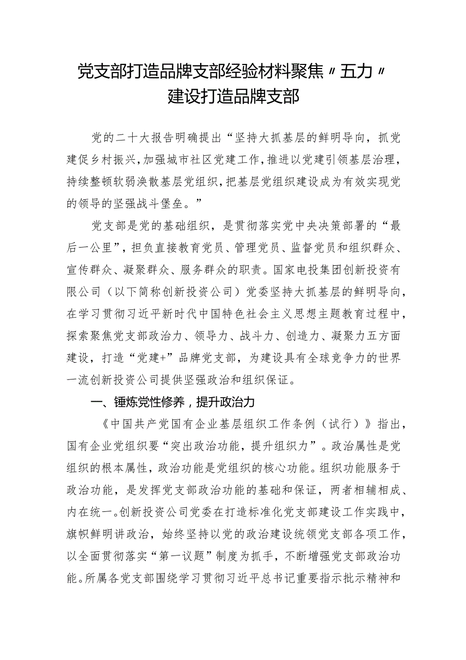 党支部打造品牌支部经验材料：聚焦“五力”建设打造品牌支部.docx_第1页