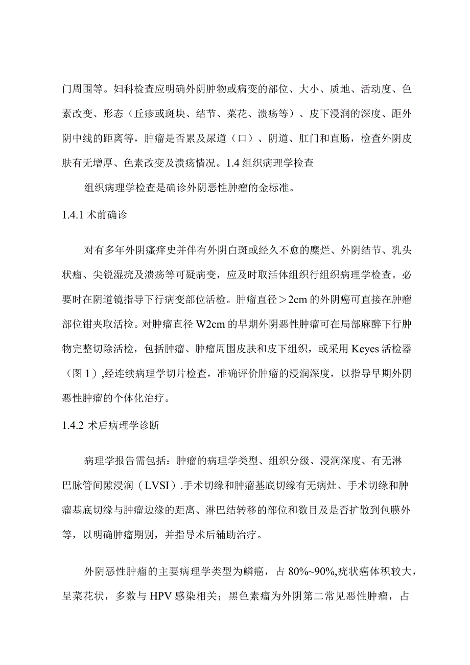 外阴恶性肿瘤诊断和治疗指南.docx_第2页