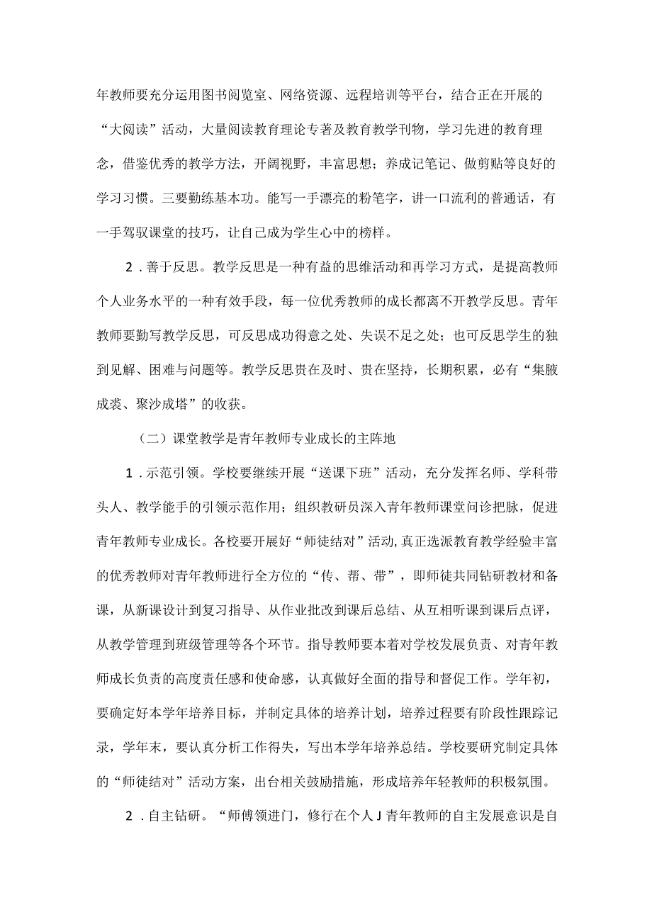 学校青年教师成长工程实施方案范文.docx_第3页