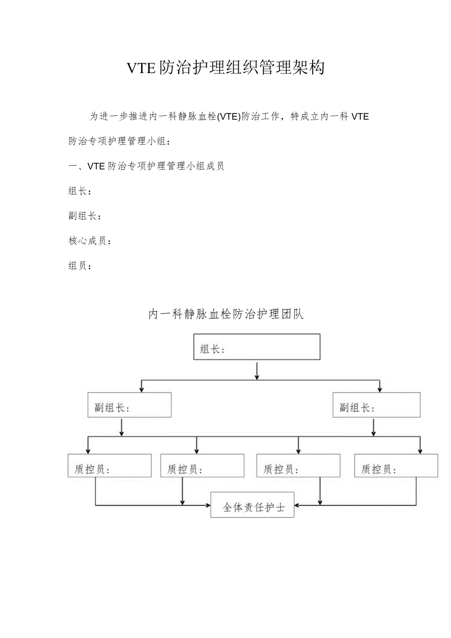 医院VTE防治护理组织管理架构.docx_第1页