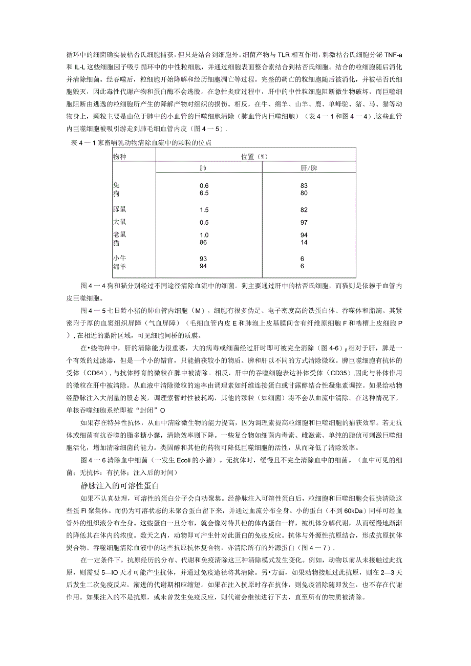 巨噬细胞与后期炎症.docx_第3页