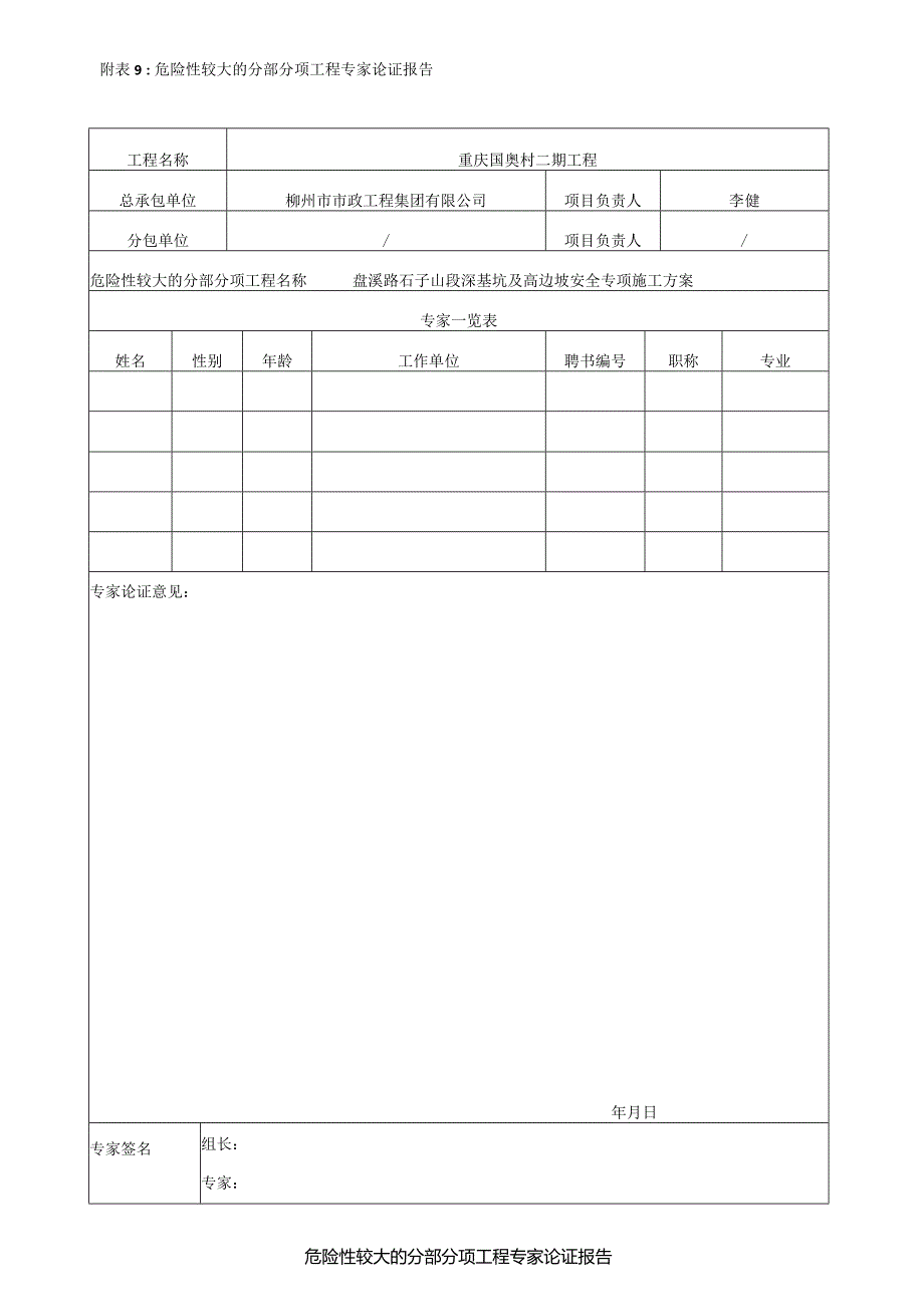 危险性较大的分部分项工程专家论证报告.docx_第1页