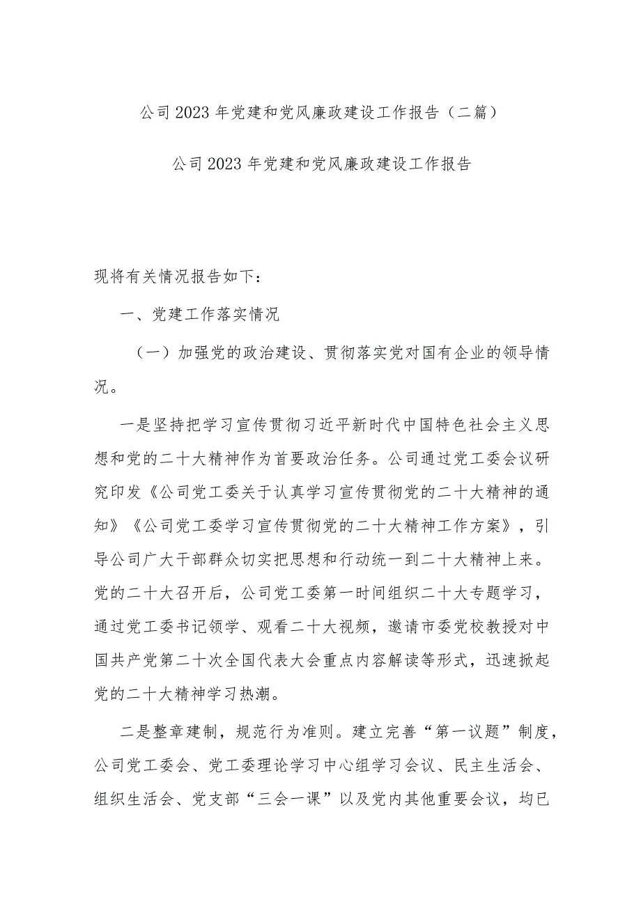 公司2023年党建和党风廉政建设工作报告(二篇).docx_第1页