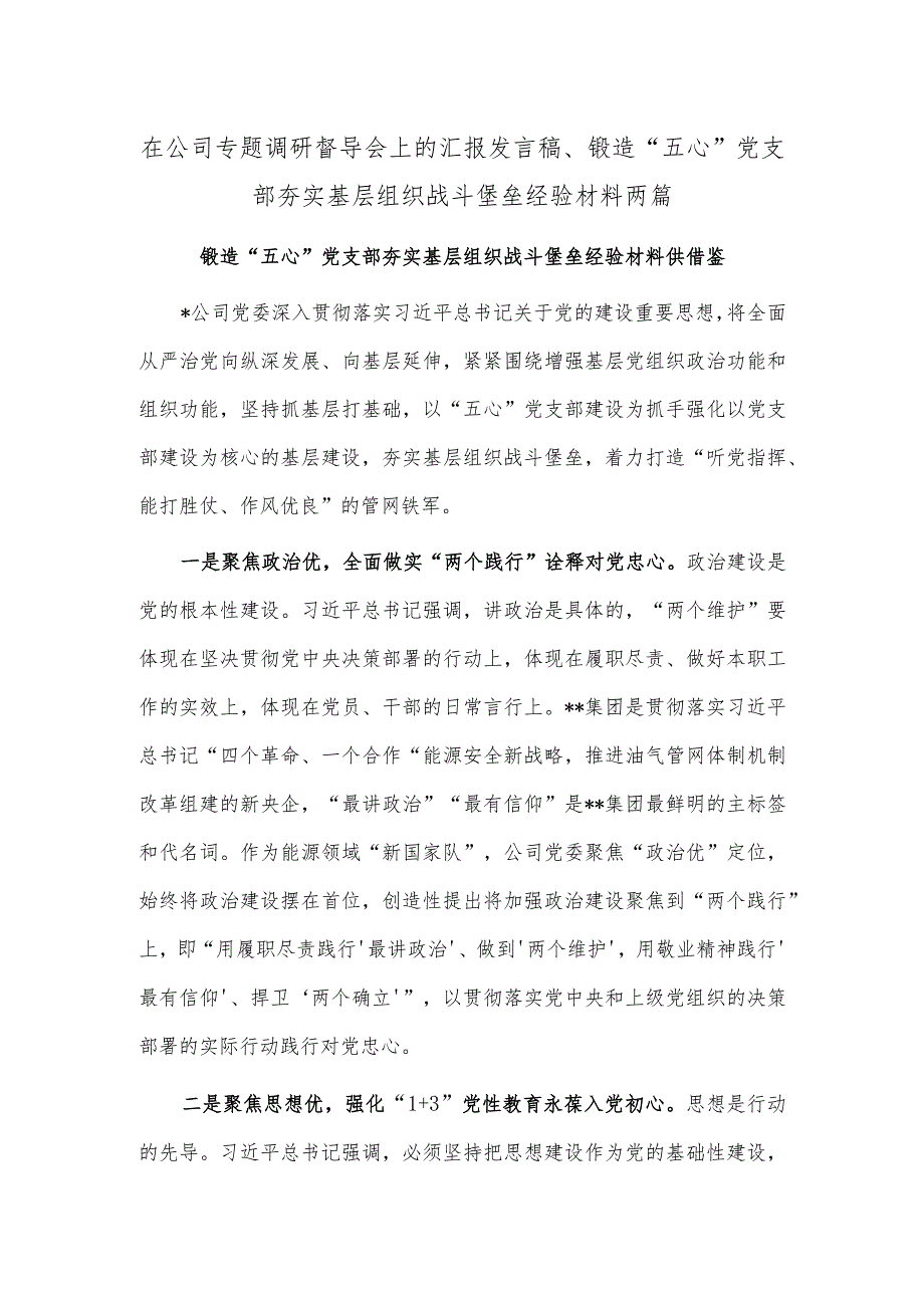 在公司专题调研督导会上的汇报发言稿、锻造“五心”党支部夯实基层组织战斗堡垒经验材料两篇.docx_第1页