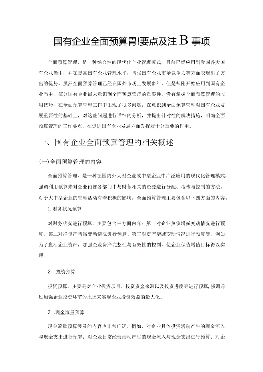 国有企业全面预算管理要点及注意事项.docx_第1页