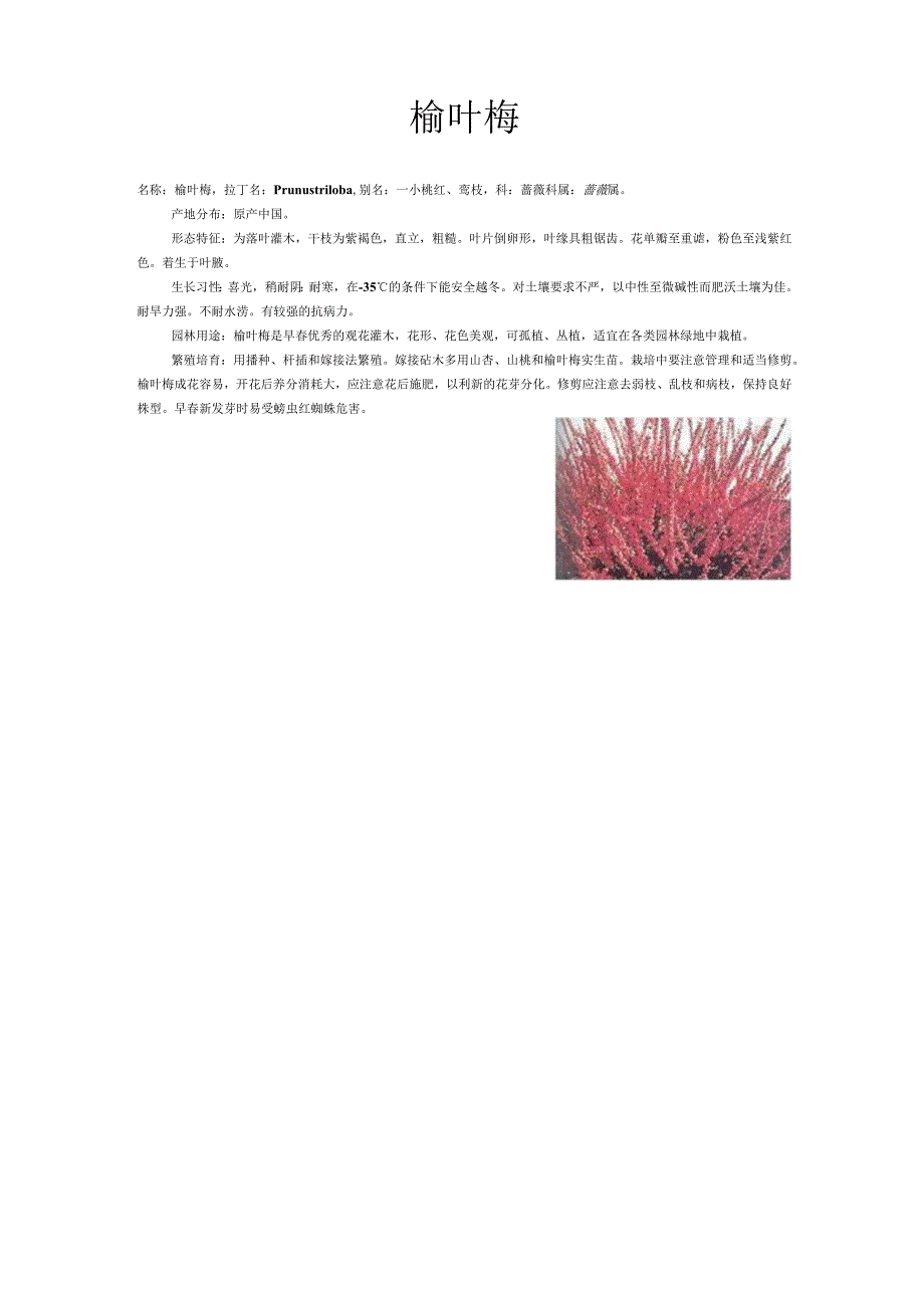 常用植物列表.docx_第1页