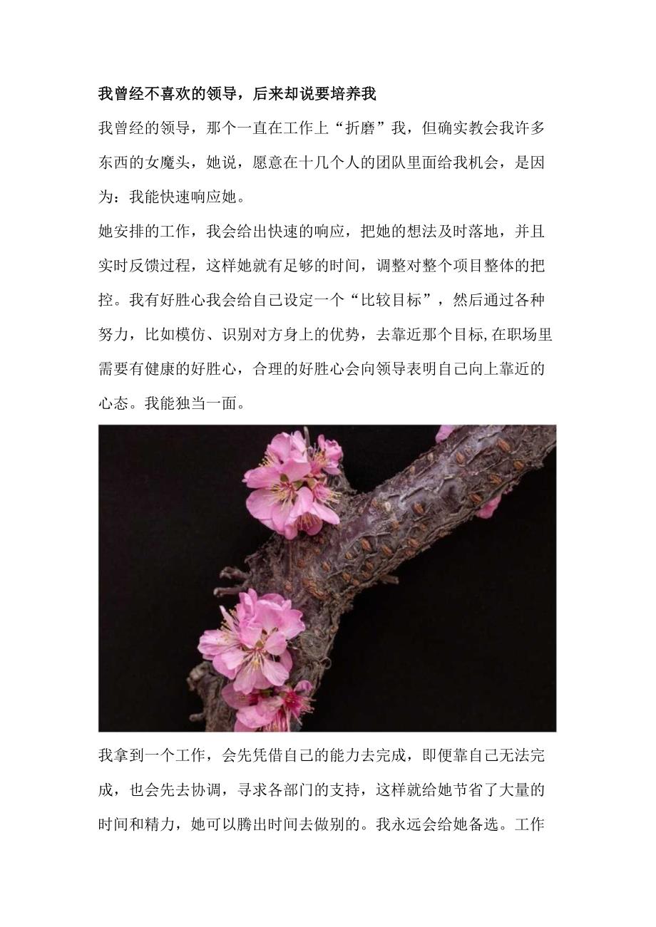 我曾经不喜欢的领导后来却说要培养我.docx_第1页