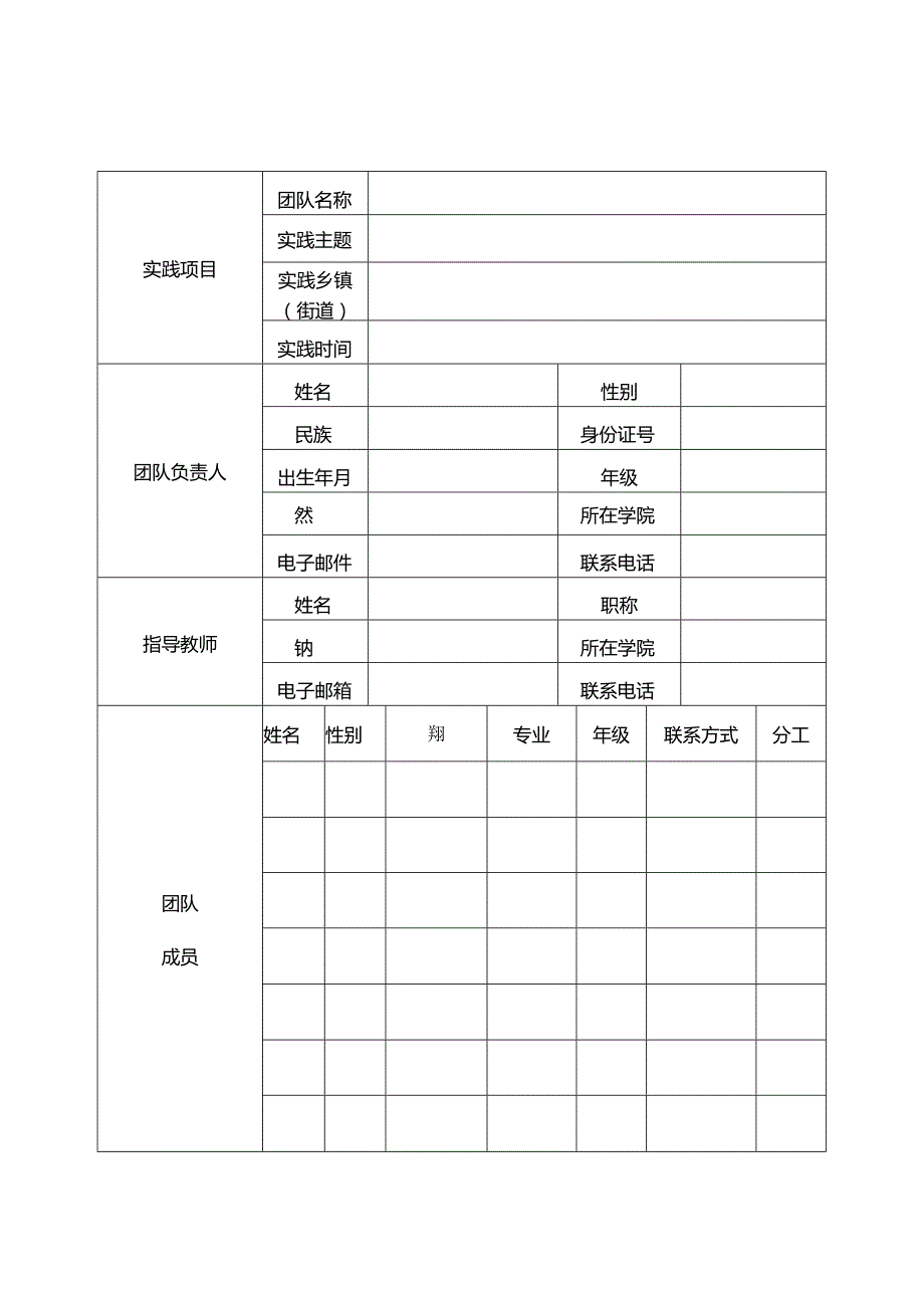 大学生社会实践专项行动团队申报表.docx_第2页