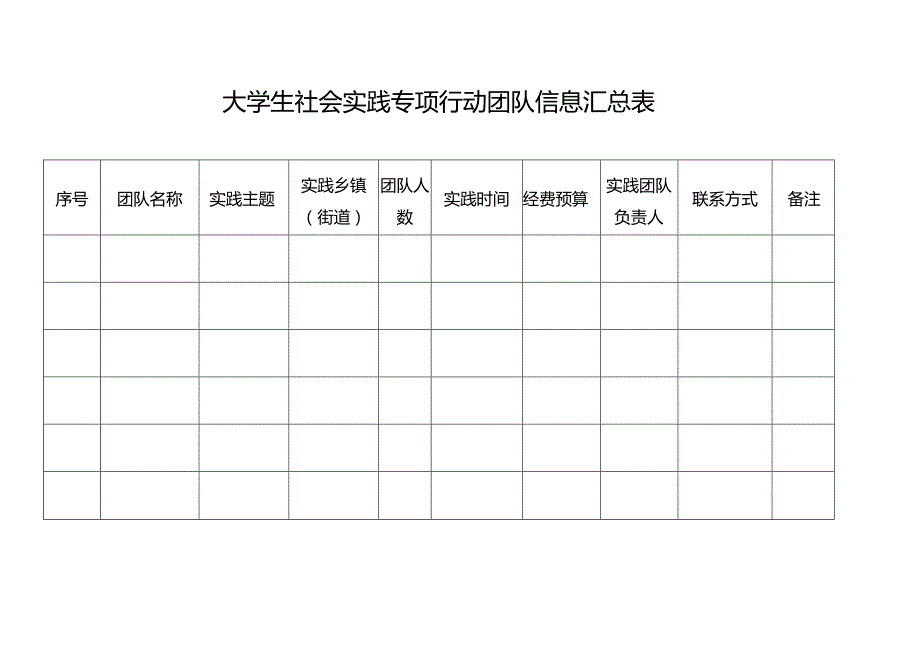 大学生社会实践专项行动团队信息汇总表.docx_第1页