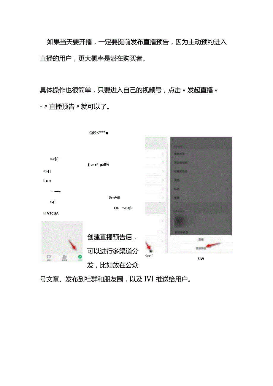 微信视频号直播带货指导方案.docx_第2页