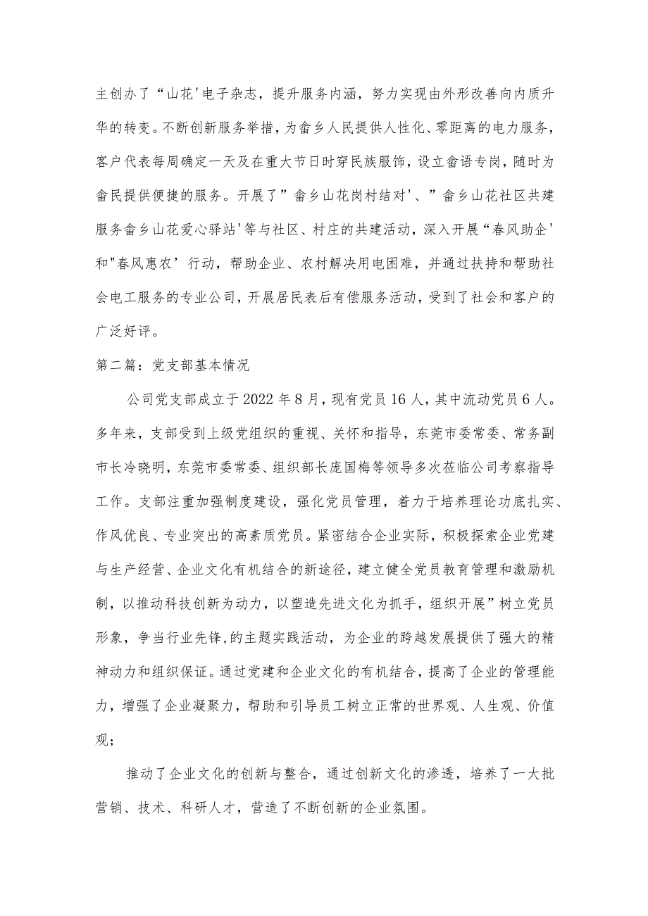 党支部基本情况范文(精选17篇).docx_第3页