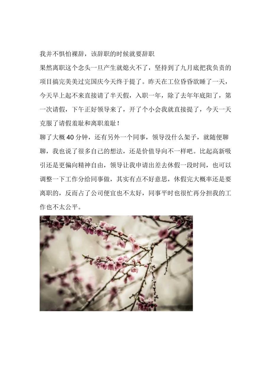 我并不惧怕裸辞该辞职的时候就要辞职.docx_第1页