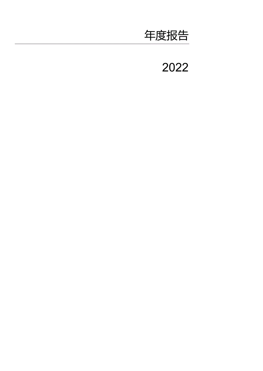 创新层挂牌公司2022年年度报告内容与格式模板（一般公司）.docx_第2页