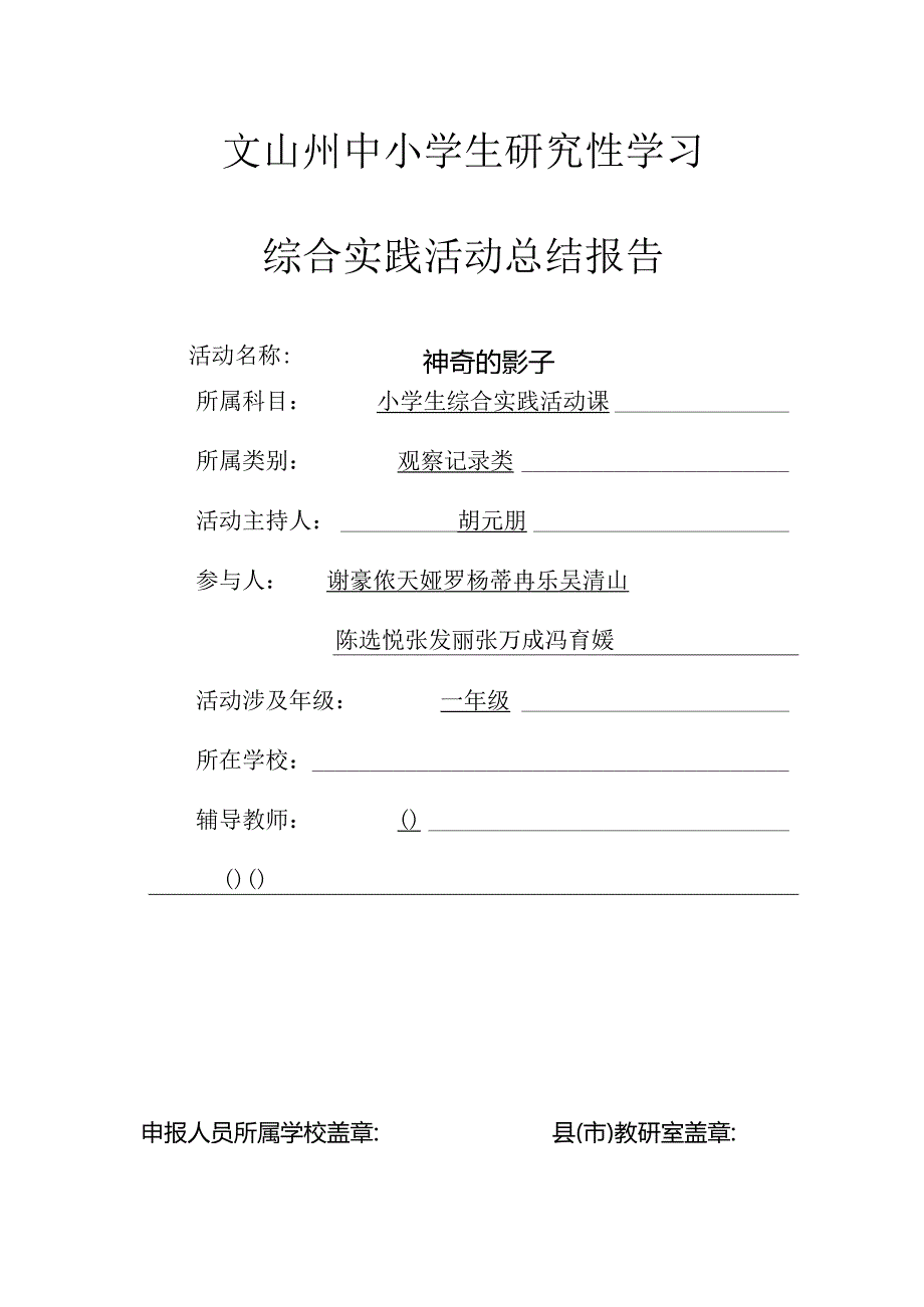 小学《神奇的影子》研究性学习课题.docx_第1页