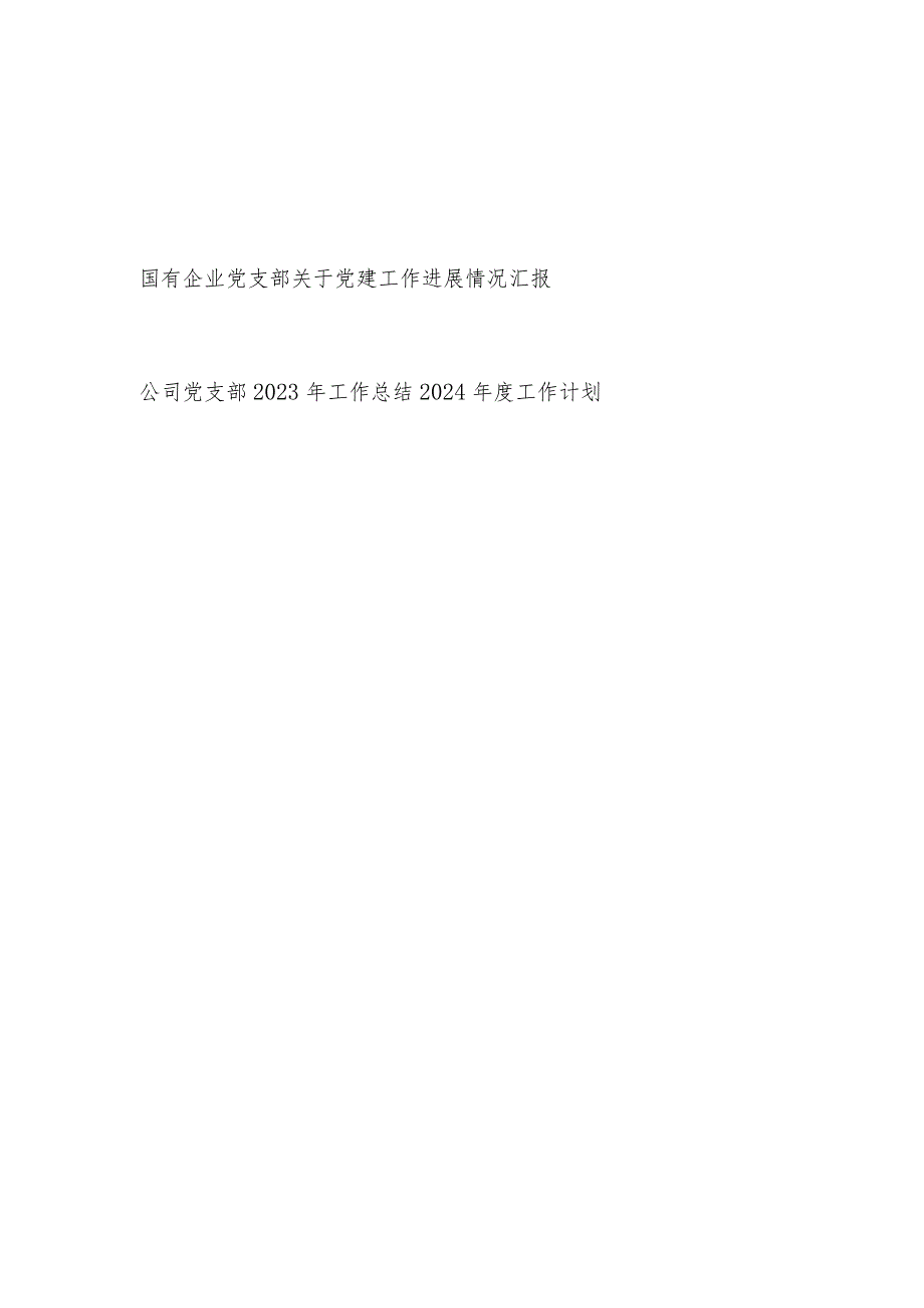 国企党支部关于党建工作进展情况汇报和公司党支部2023年工作总结2024年度工作计划.docx_第1页