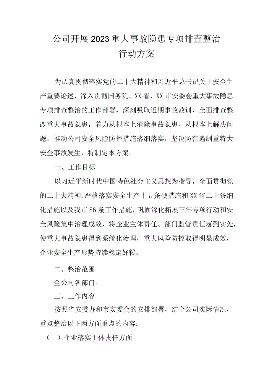 公司重大事故隐患专项排查整治2023行动方案.docx_第1页