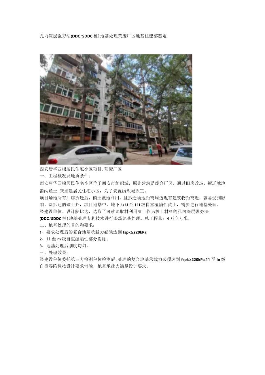 孔内深层强夯法（DDCSDDC桩）地基处理荒废厂区地基住建部鉴定.docx_第1页