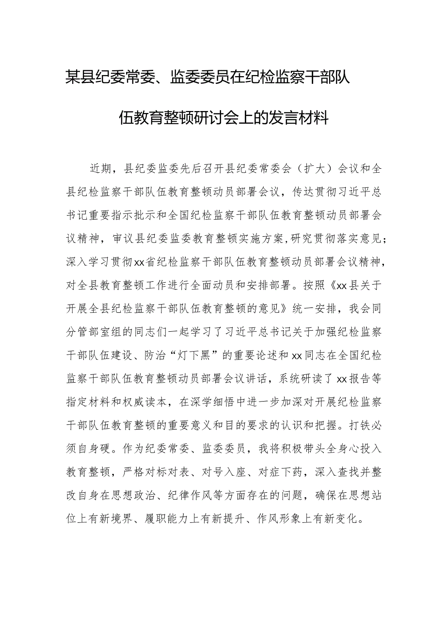 在纪检监察干部队伍教育整顿研讨会上的发言材料4篇.docx_第1页