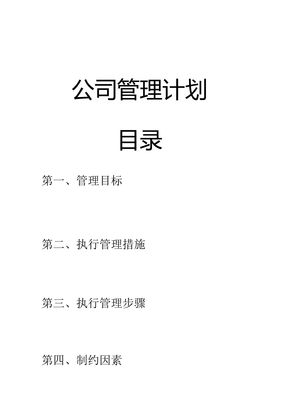 公司管理计划.docx_第1页