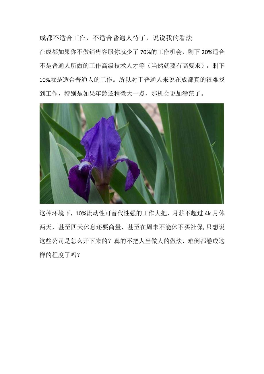 成都不适合工作不适合普通人待了说说我的看法.docx_第1页