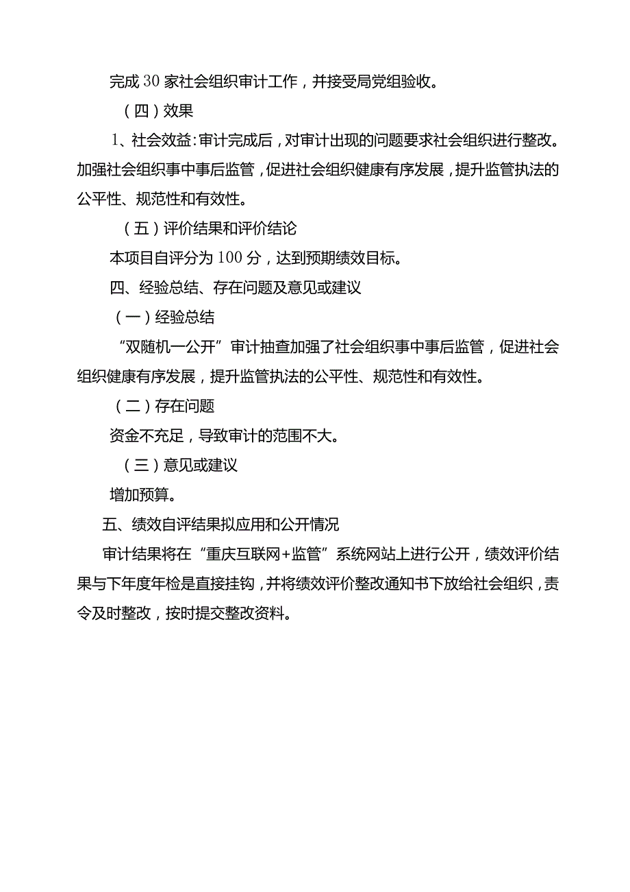 双随机一公开审计项目资金绩效目标自评报告.docx_第3页