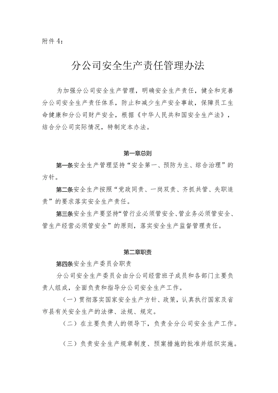 安全生产责任管理办法.docx_第1页