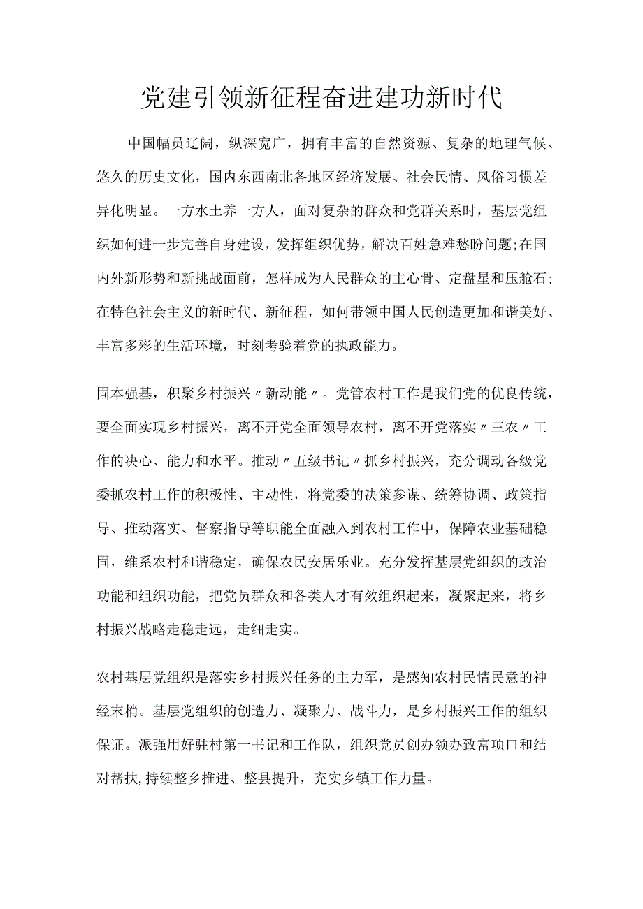 党建引领新征程奋进建功新时代.docx_第1页