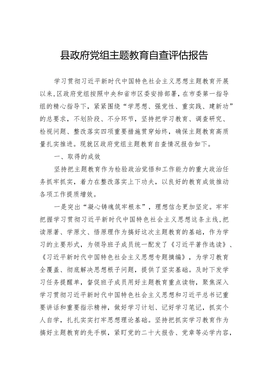 县政府党组主题教育自查评估报告.docx_第1页