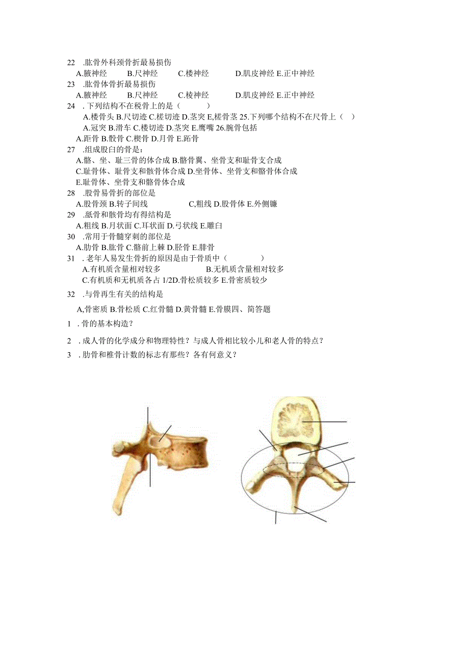 2022级解剖学寒假作业.docx_第3页