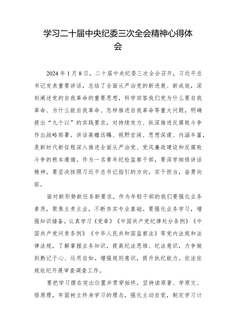 纪检干部关于学习二十届中央纪委三次全会精神的心得体会(25篇).docx_第3页