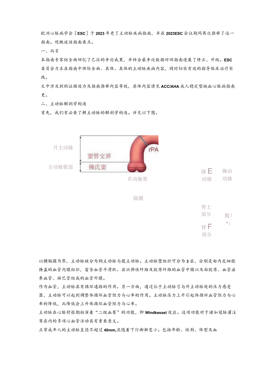 2023年ESC主动脉疾病诊疗指南设计.docx_第1页