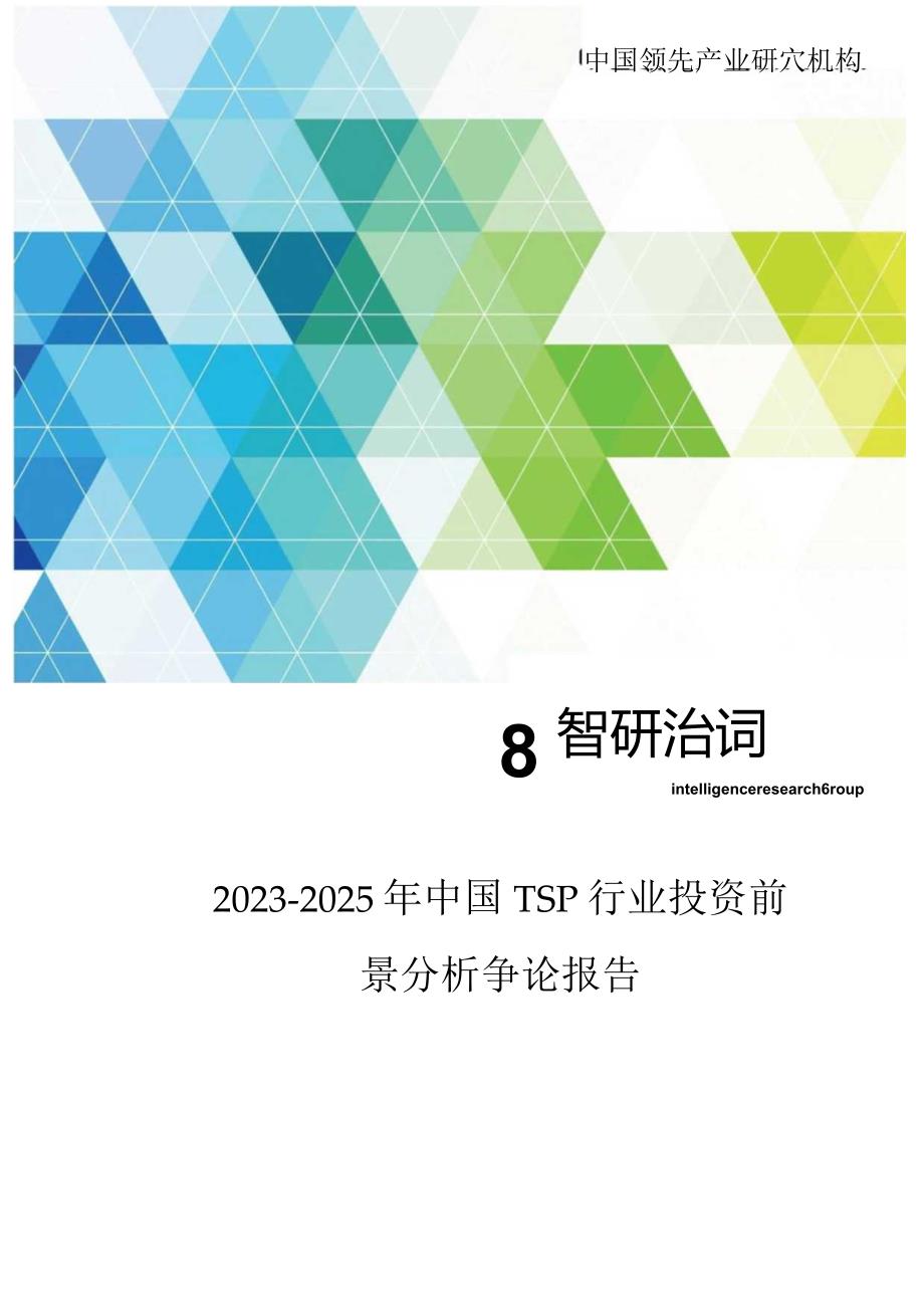 2023年-2025年中国TSP行业投资前景分析研究报告.docx_第1页