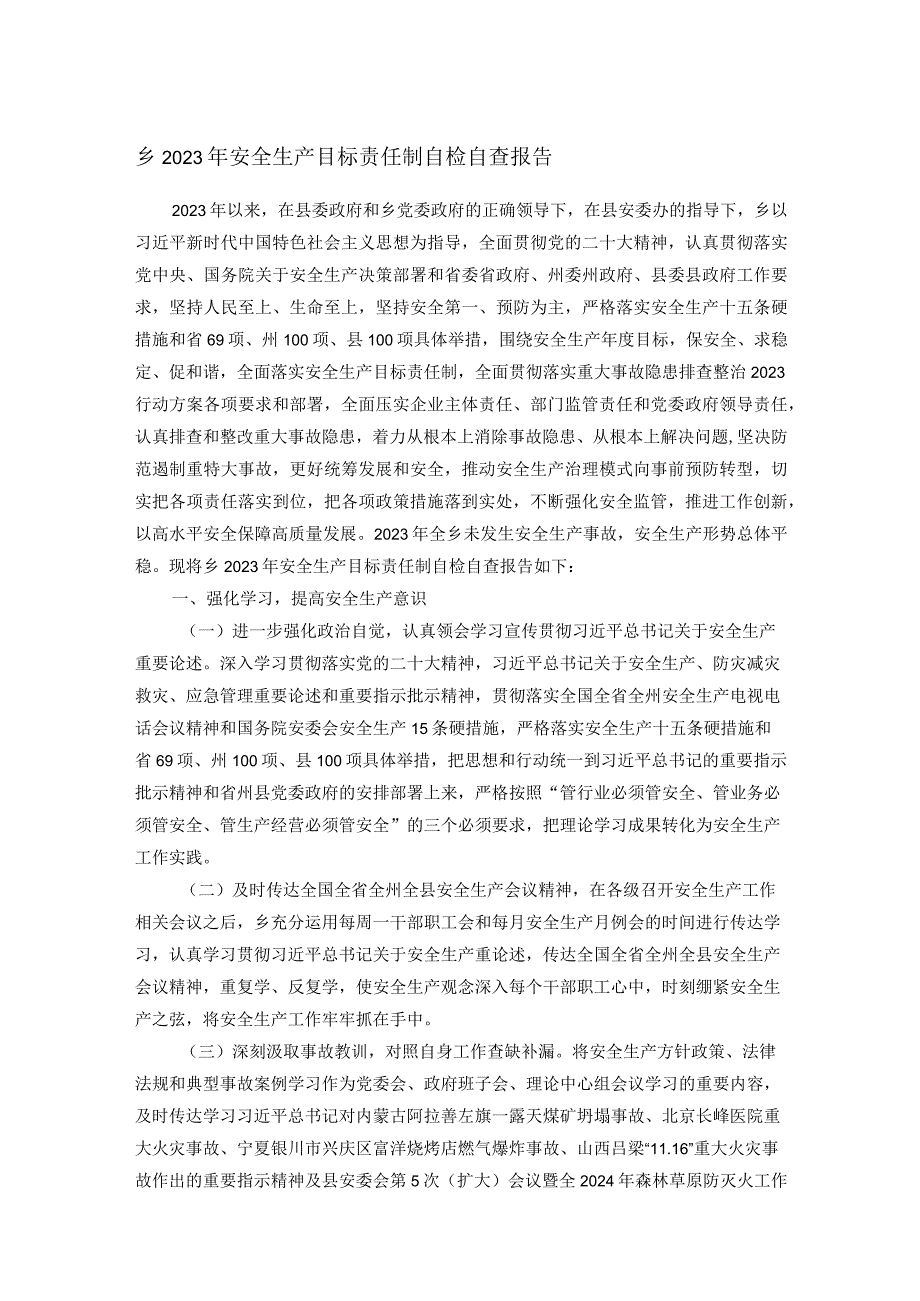 乡2023年安全生产目标责任制自检自查报告.docx_第1页