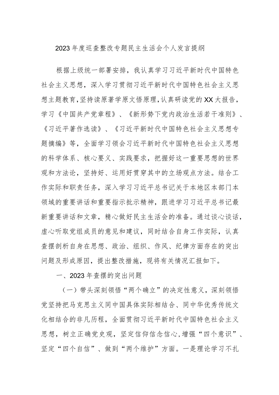 2023年度巡查整改专题民主生活会个人发言提纲.docx_第1页