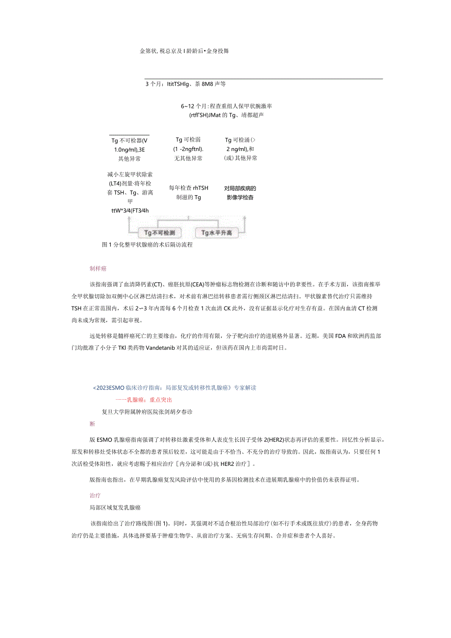 2023年ESMO临床实践指南.docx_第3页