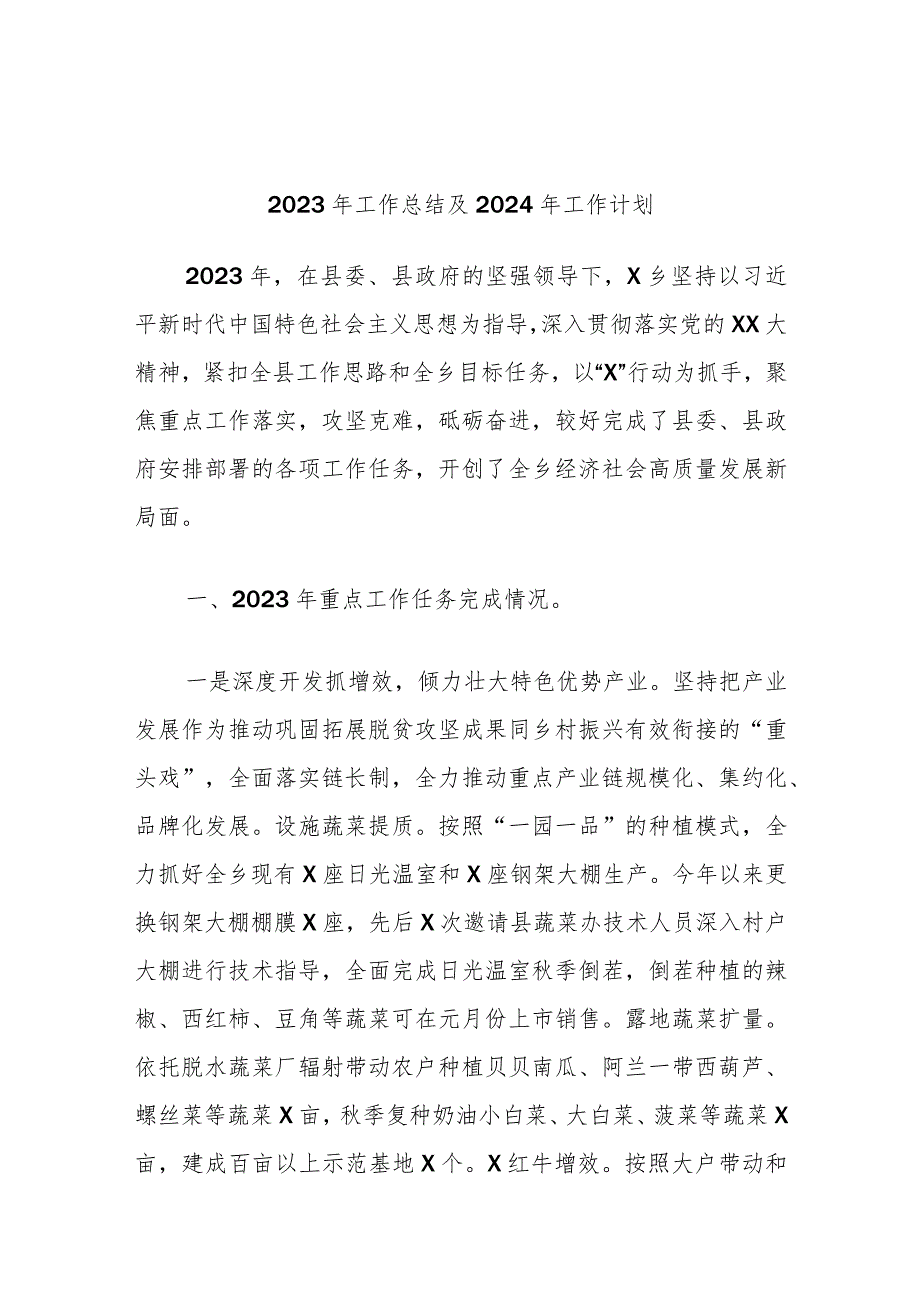 2023年工作总结及2024年工作计划.docx_第1页