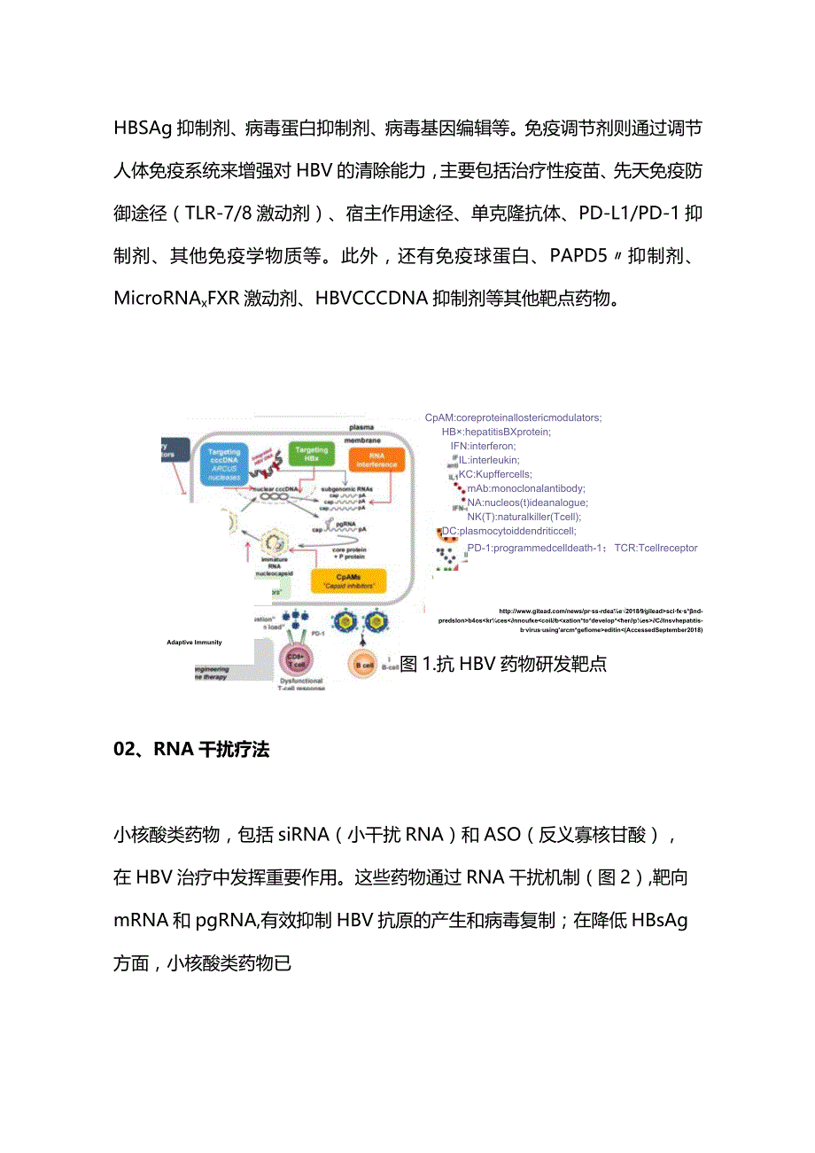 2023乙肝临床治愈新药研发进展.docx_第2页