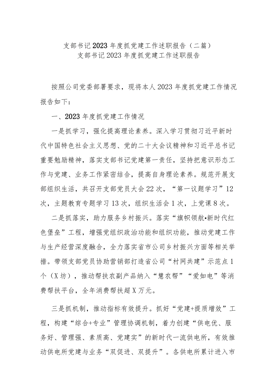 支部书记2023年度抓党建工作述职报告(二篇).docx_第1页