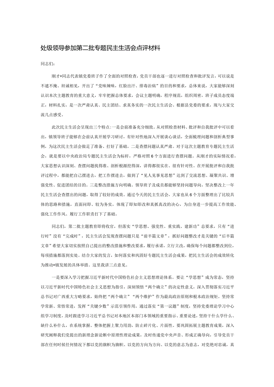 处级领导参加第二批专题民主生活会点评材料.docx_第1页